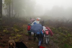 IMG-20190524-WA0002