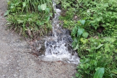 IMG-20190524-WA0008