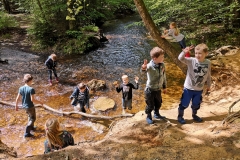 IMG-20190529-WA0029